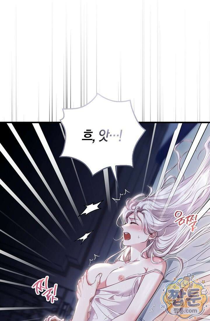 남편은 분명 성기사였는데 1화 27