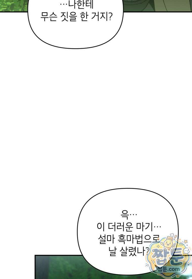 암흑명가 천재 망나니가 되었다 63화 30