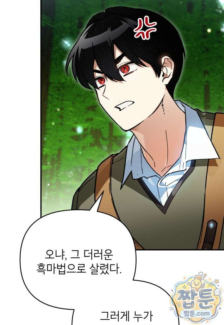 암흑명가 천재 망나니가 되었다 63화 31