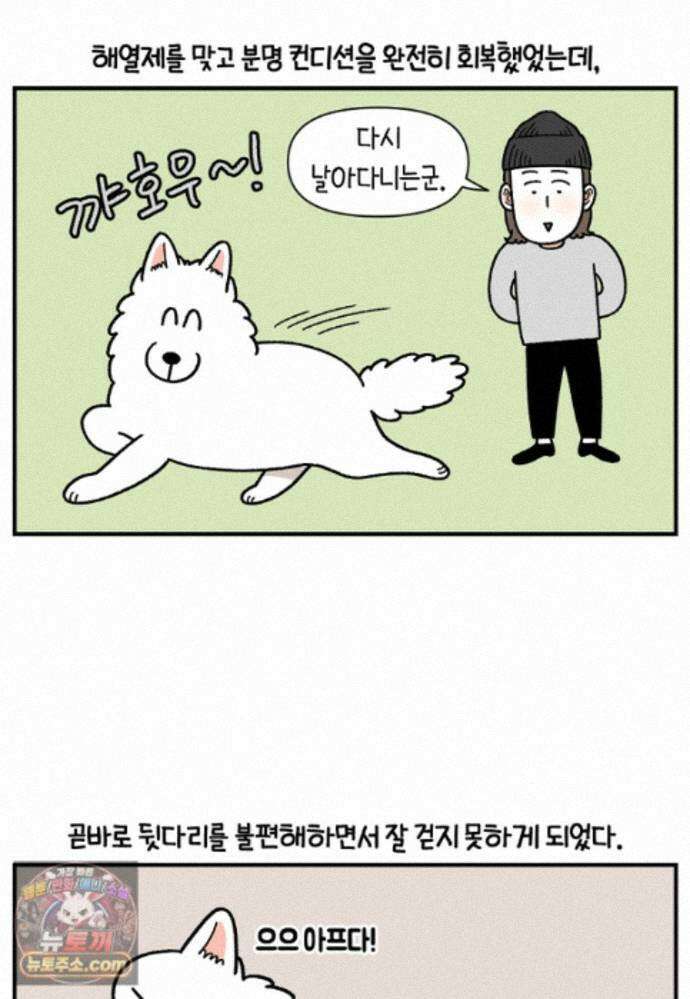 극한견주 시즌2 145화 다리가 아픈 개 2