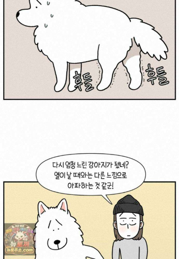 극한견주 시즌2 145화 다리가 아픈 개 3