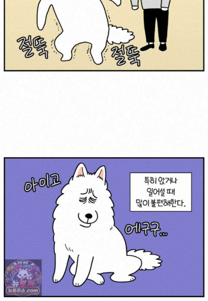 극한견주 시즌2 145화 다리가 아픈 개 4