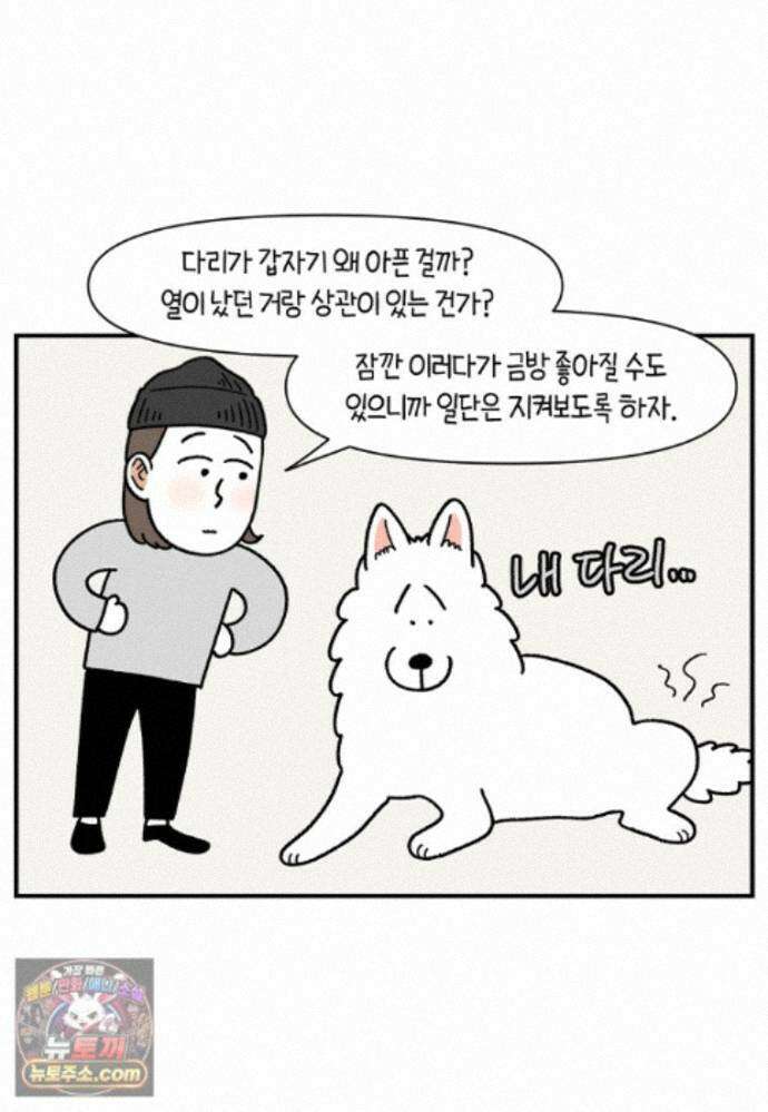 극한견주 시즌2 145화 다리가 아픈 개 5