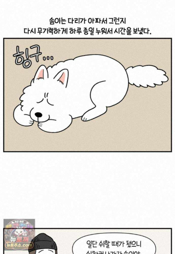 극한견주 시즌2 145화 다리가 아픈 개 6