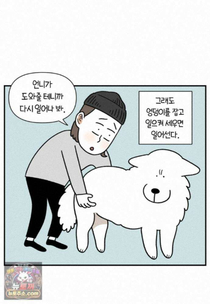 극한견주 시즌2 145화 다리가 아픈 개 10