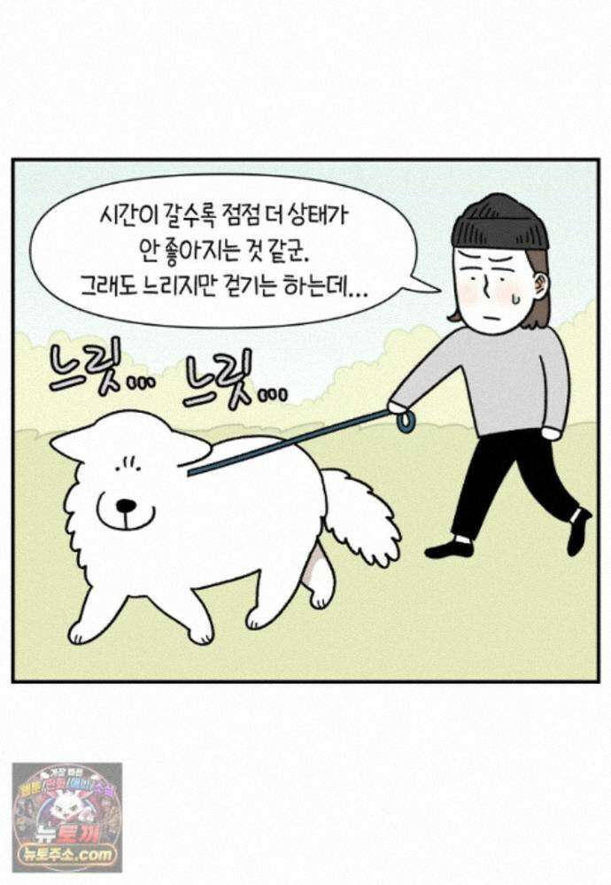 극한견주 시즌2 145화 다리가 아픈 개 11