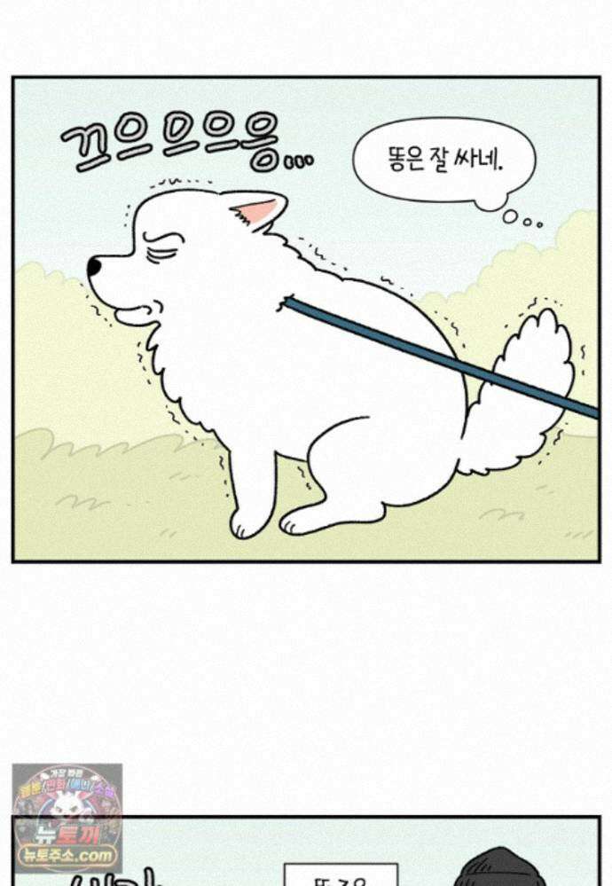극한견주 시즌2 145화 다리가 아픈 개 12
