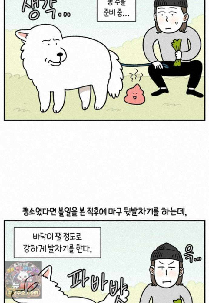 극한견주 시즌2 145화 다리가 아픈 개 13