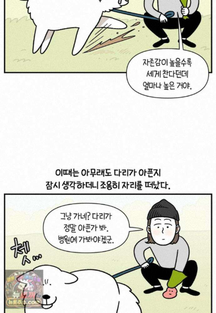 극한견주 시즌2 145화 다리가 아픈 개 14