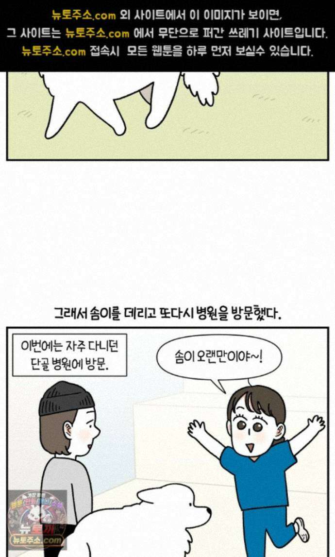 극한견주 시즌2 145화 다리가 아픈 개 15