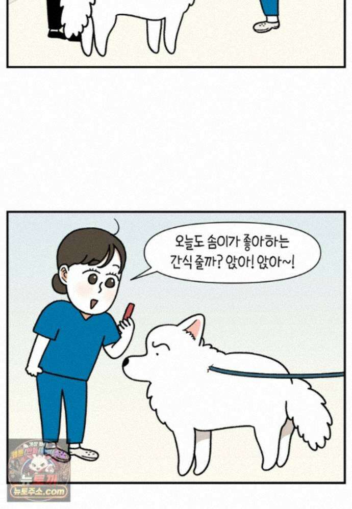 극한견주 시즌2 145화 다리가 아픈 개 16