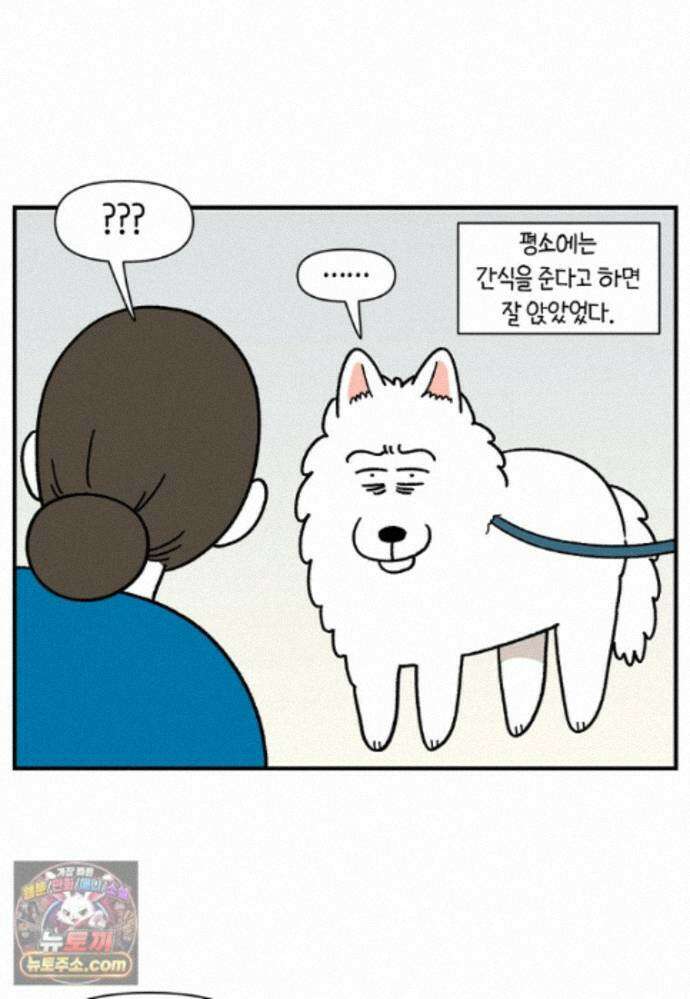 극한견주 시즌2 145화 다리가 아픈 개 17