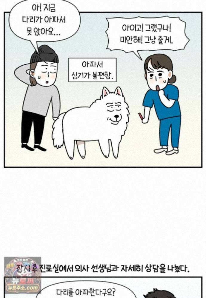 극한견주 시즌2 145화 다리가 아픈 개 18