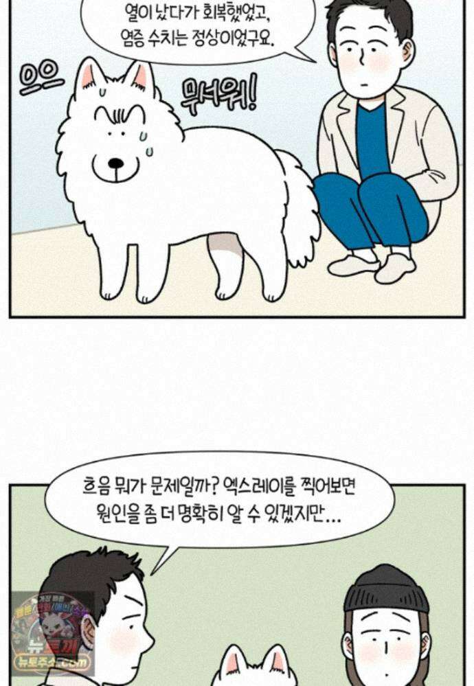 극한견주 시즌2 145화 다리가 아픈 개 19