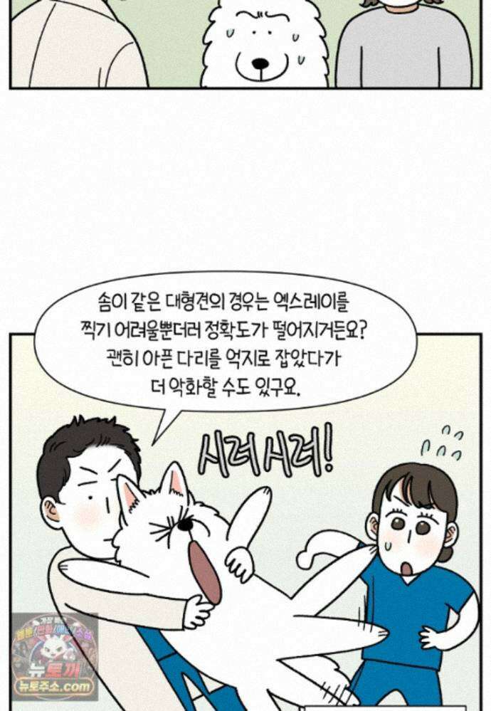 극한견주 시즌2 145화 다리가 아픈 개 20