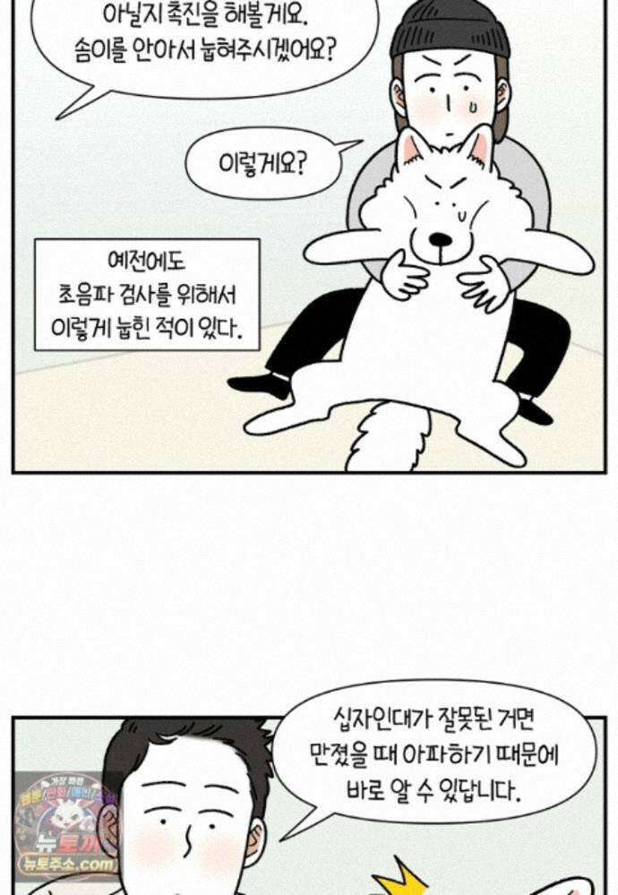 극한견주 시즌2 145화 다리가 아픈 개 22