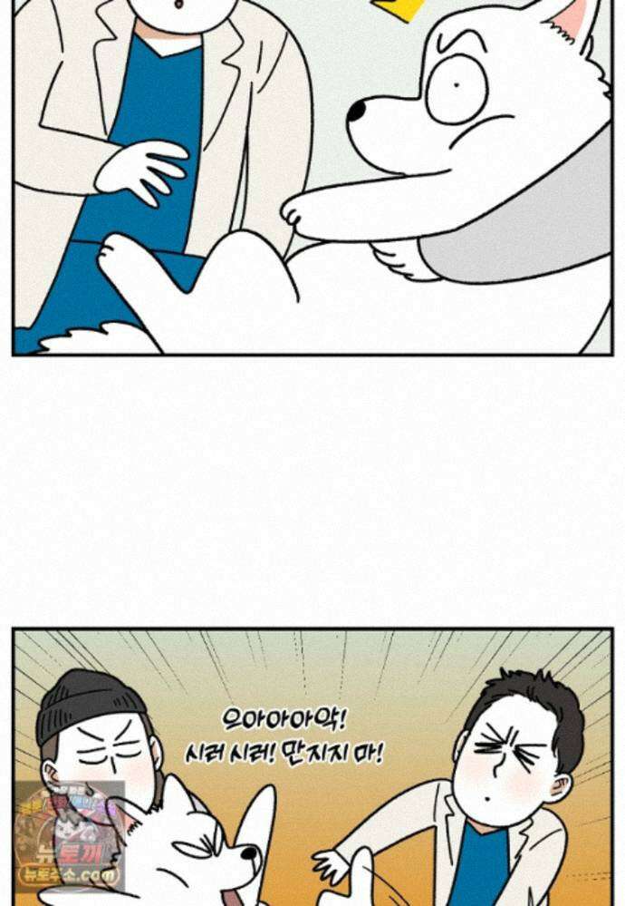 극한견주 시즌2 145화 다리가 아픈 개 23