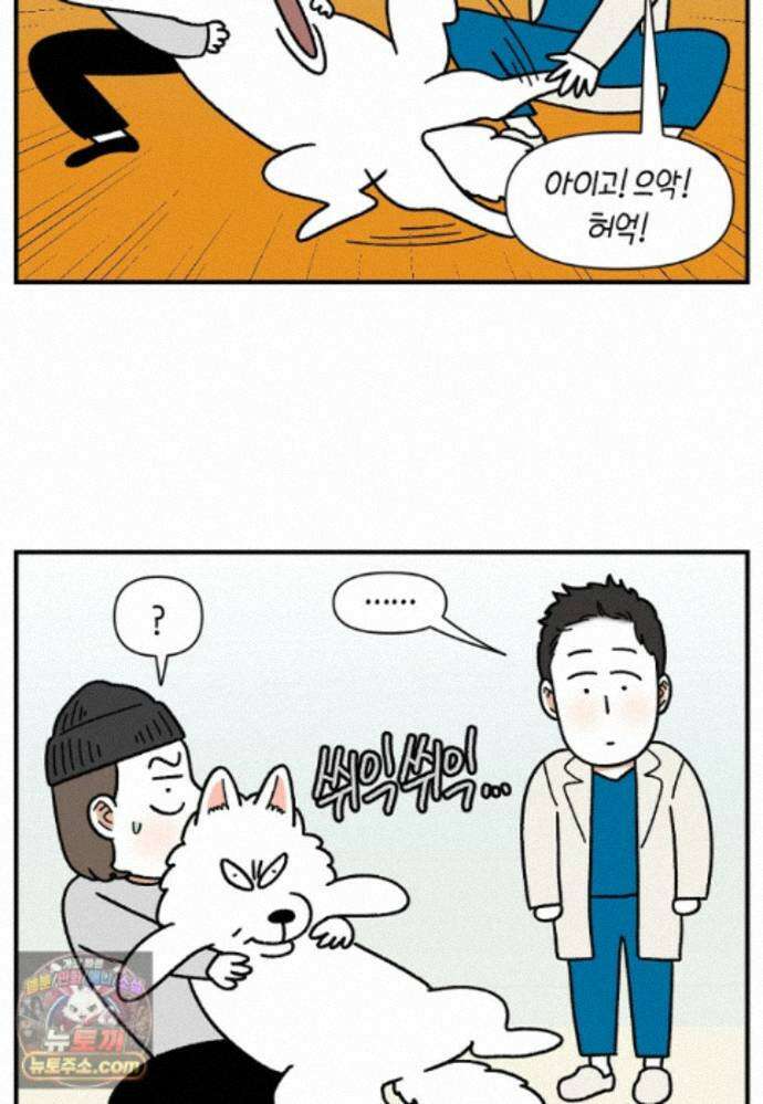 극한견주 시즌2 145화 다리가 아픈 개 24