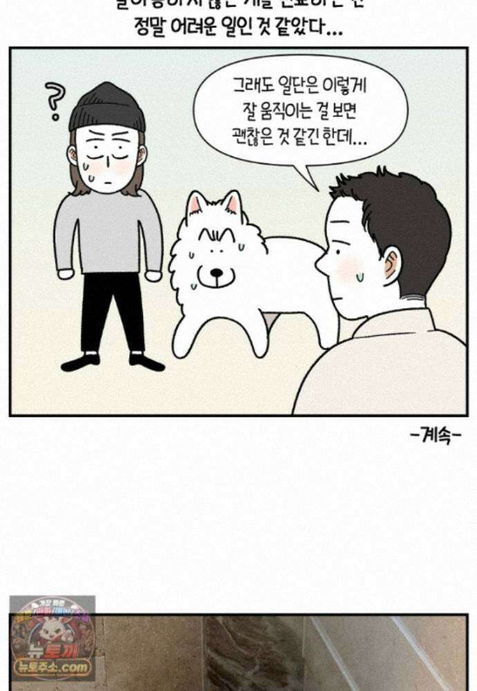 극한견주 시즌2 145화 다리가 아픈 개 26
