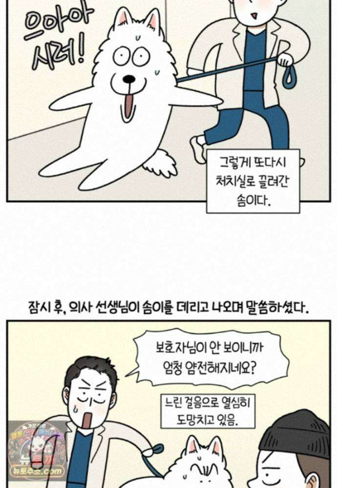 극한견주 시즌2 146화 돌아온 우끼빡기 3