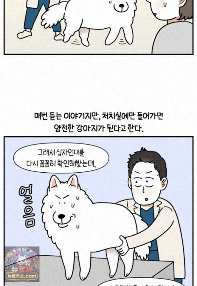 극한견주 시즌2 146화 돌아온 우끼빡기 4