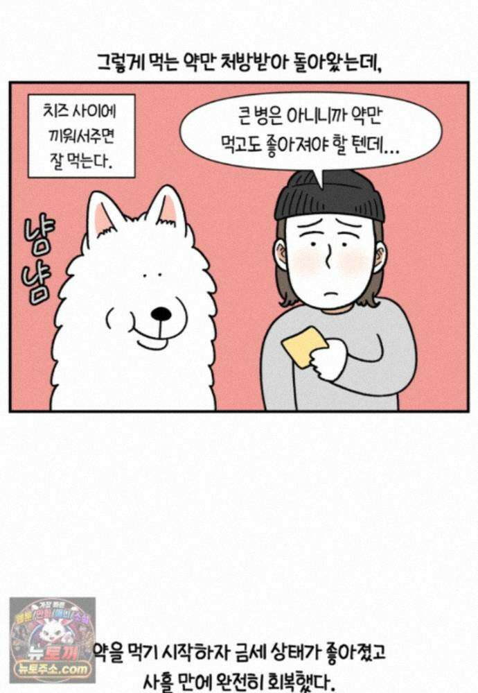 극한견주 시즌2 146화 돌아온 우끼빡기 6