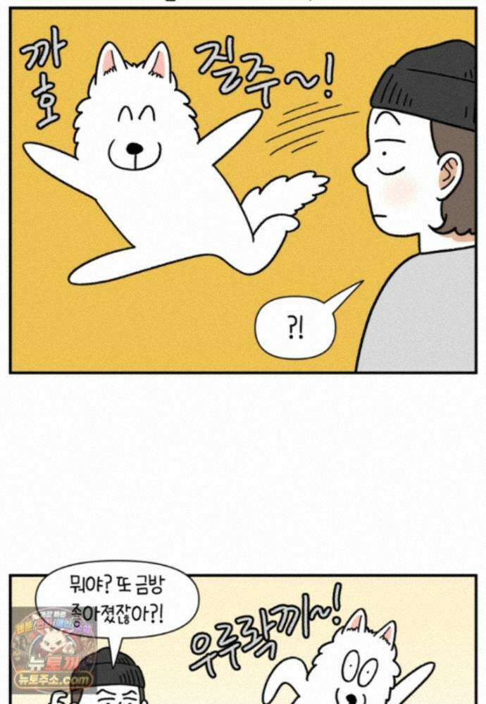 극한견주 시즌2 146화 돌아온 우끼빡기 7