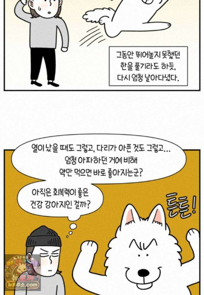 극한견주 시즌2 146화 돌아온 우끼빡기 8