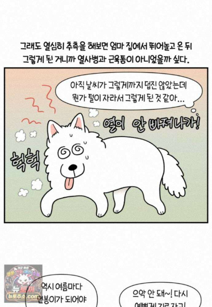 극한견주 시즌2 146화 돌아온 우끼빡기 10