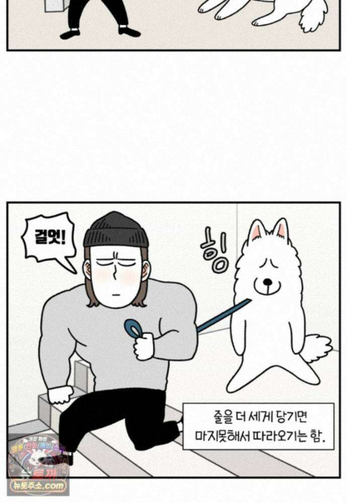 극한견주 시즌2 146화 돌아온 우끼빡기 13