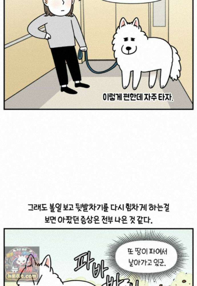 극한견주 시즌2 146화 돌아온 우끼빡기 16