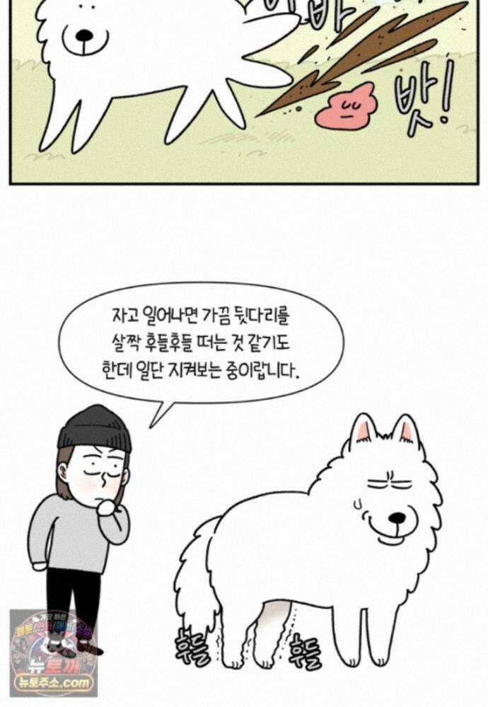 극한견주 시즌2 146화 돌아온 우끼빡기 17