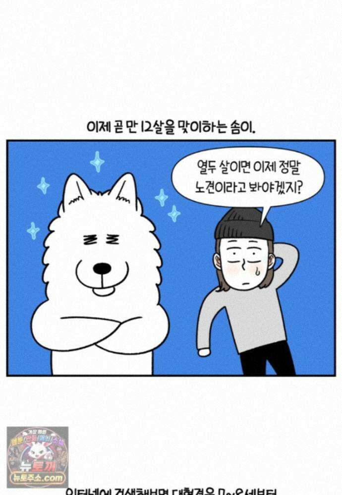 극한견주 시즌2 146화 돌아온 우끼빡기 18