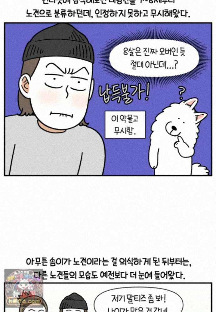 극한견주 시즌2 146화 돌아온 우끼빡기 19
