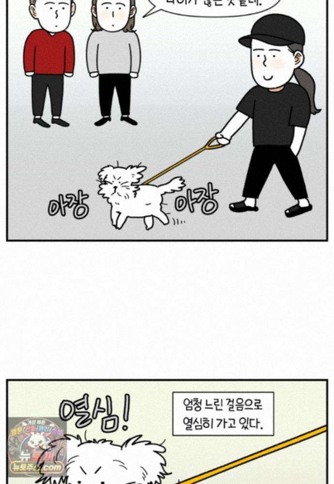 극한견주 시즌2 146화 돌아온 우끼빡기 20