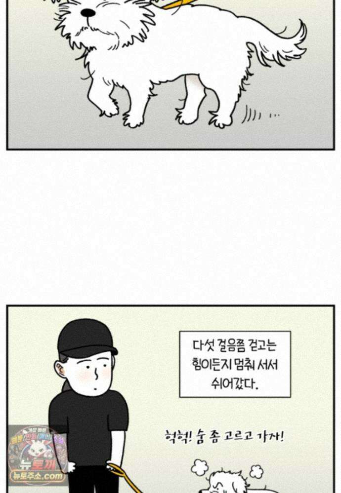 극한견주 시즌2 146화 돌아온 우끼빡기 21