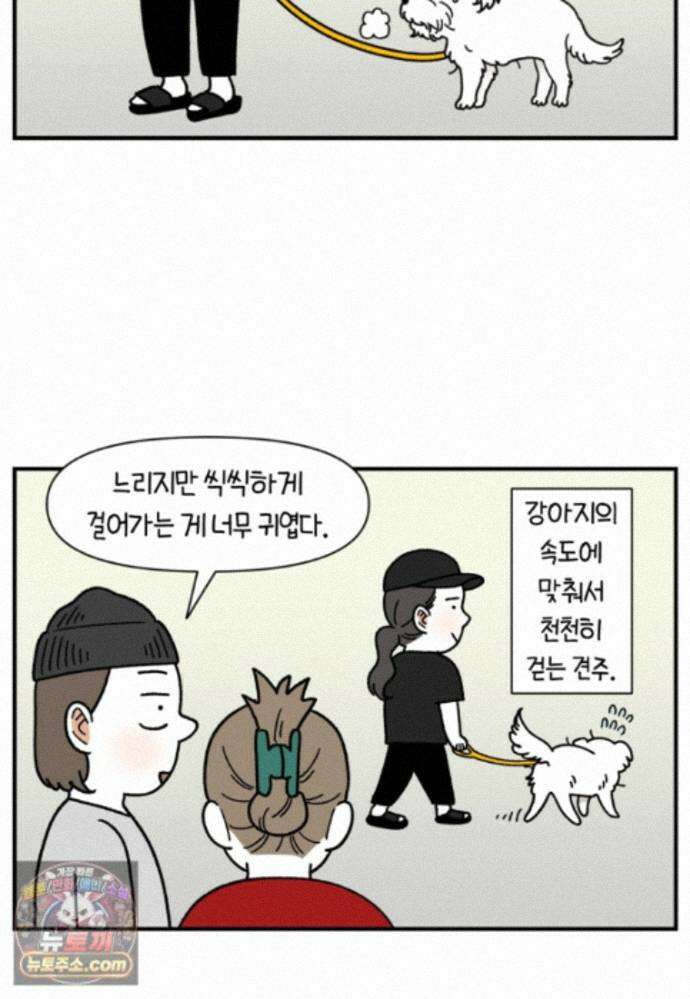극한견주 시즌2 146화 돌아온 우끼빡기 22