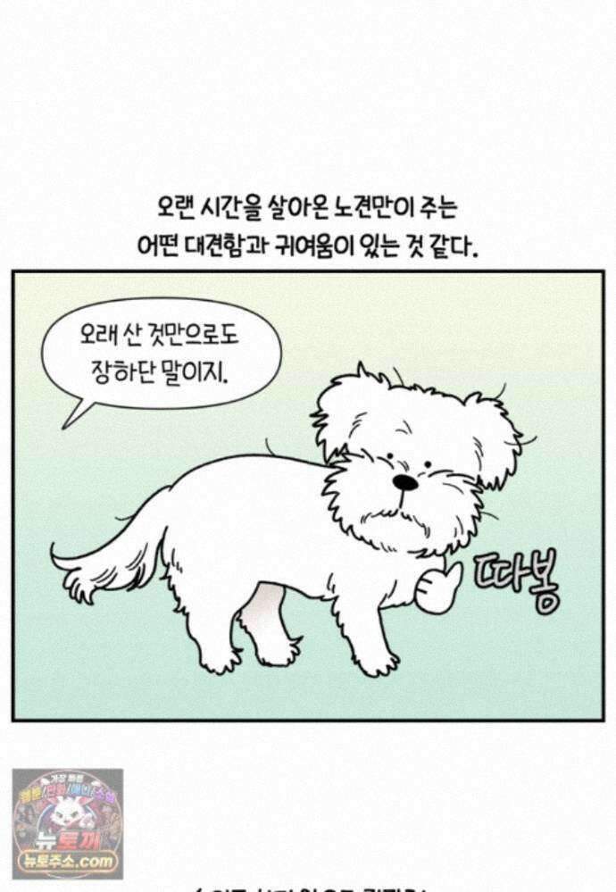 극한견주 시즌2 146화 돌아온 우끼빡기 23