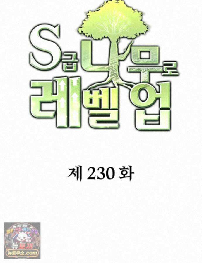 S급 나무로 레벨업 230화 1