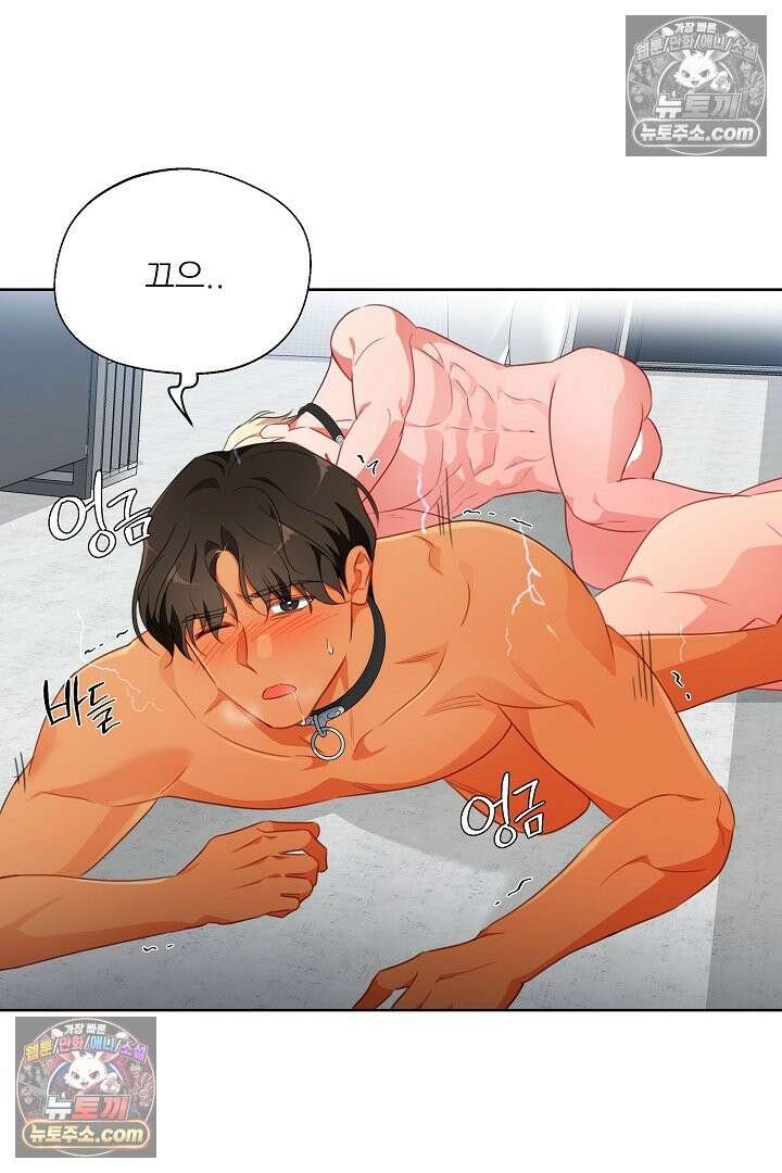 사육실의 수컷들 26화 67