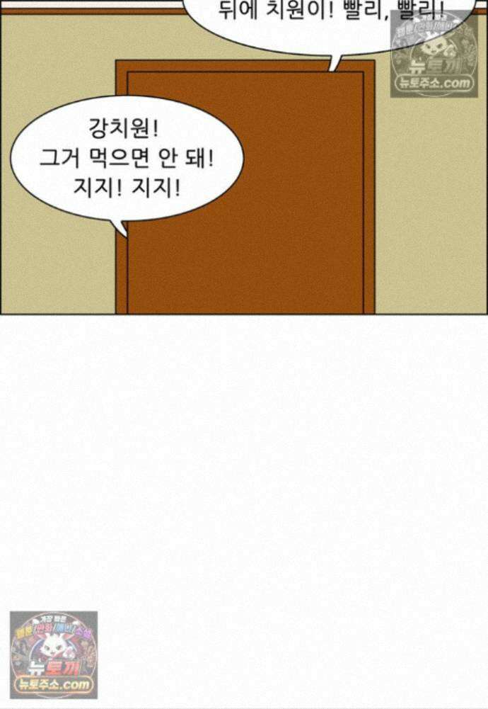 쌍갑포차 415화 백설기 (11) 8