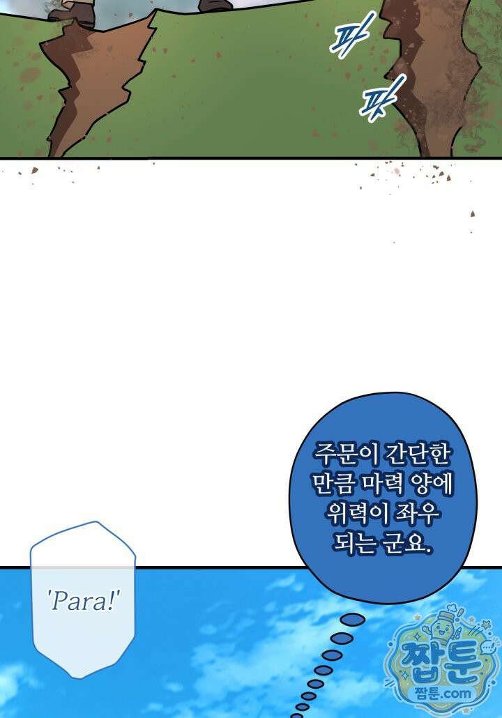 패왕영애 63화 74