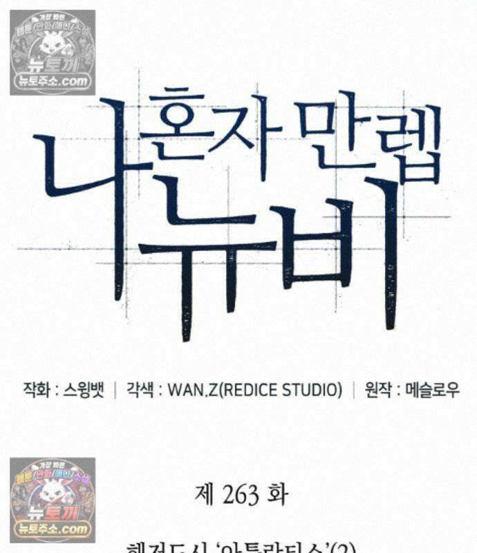 나 혼자 만렙 뉴비 263화 41