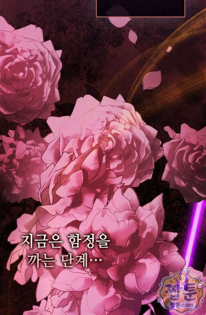 아도니스 315화 31