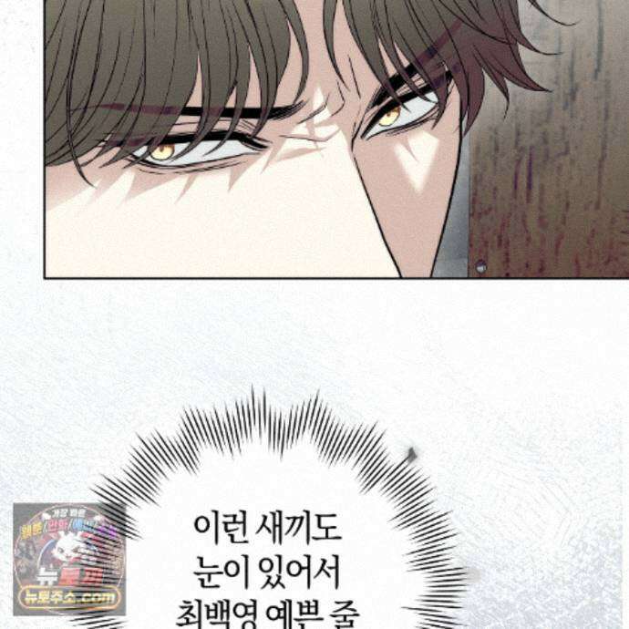 개미굴  13화 8