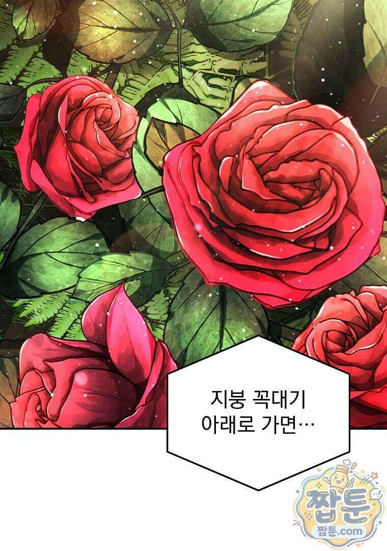개미 41화 12