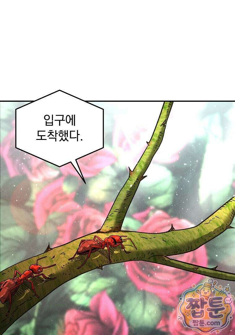 개미 41화 14