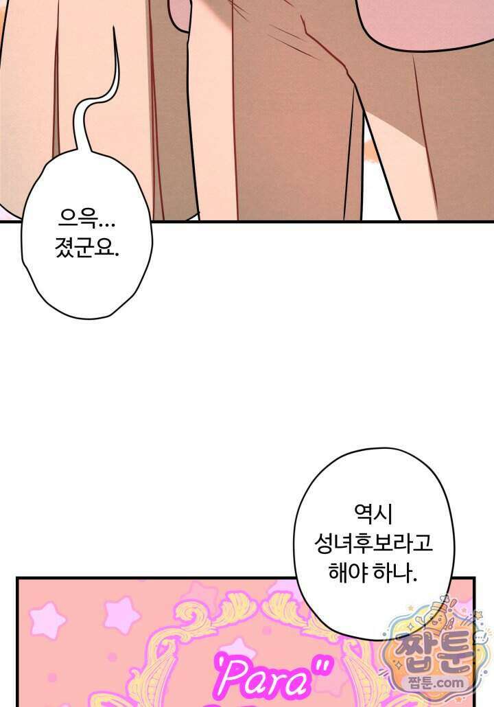 패왕영애 64화 45
