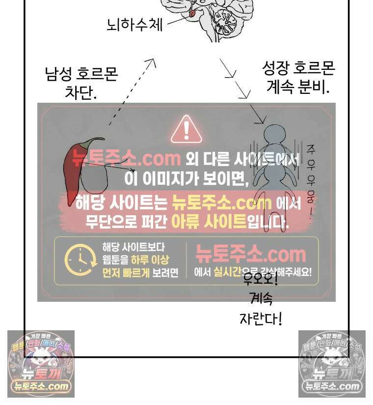 카스트라토 ~거세 가수 이야기~ 31화 샬롯의 여인 12