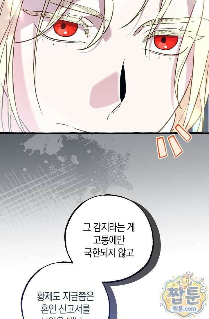 공작 부부에겐 비밀이 있다 15화 62